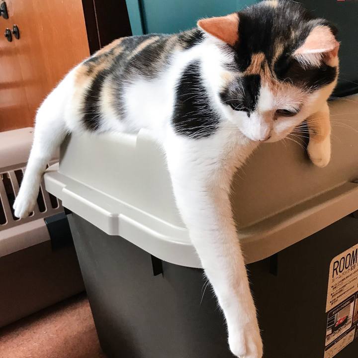 708ec3ca 8b14 4f15 85cb 2fe4bcf9357a