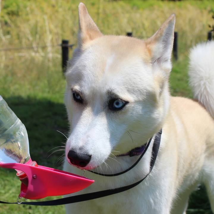 708f254c 0a40 40b5 ac48 ac477427b120