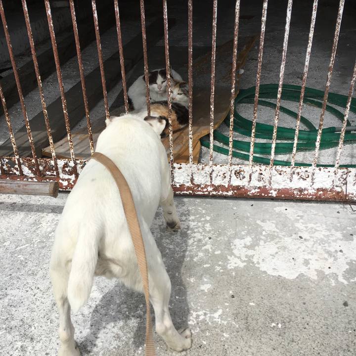 708fdbff 2dec 4b6f 83d1 7f010c08aa4a