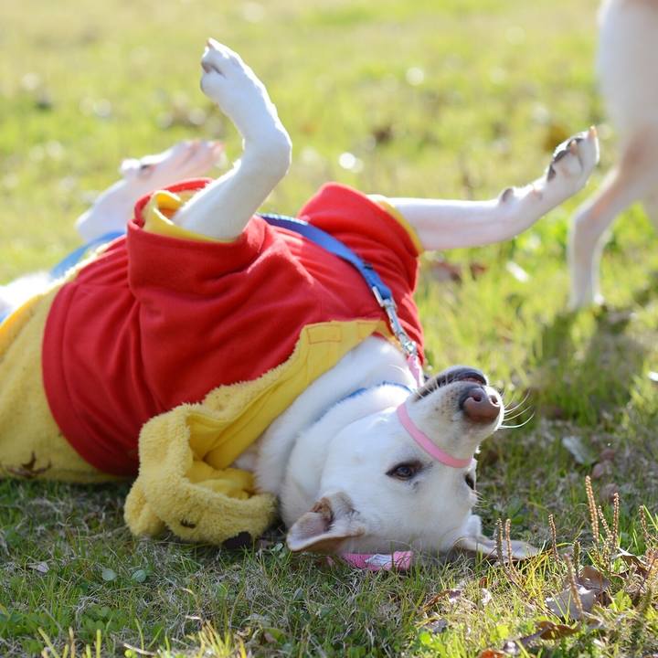 70906e58 7e8a 41a6 b0bc e6fb0f73eb95