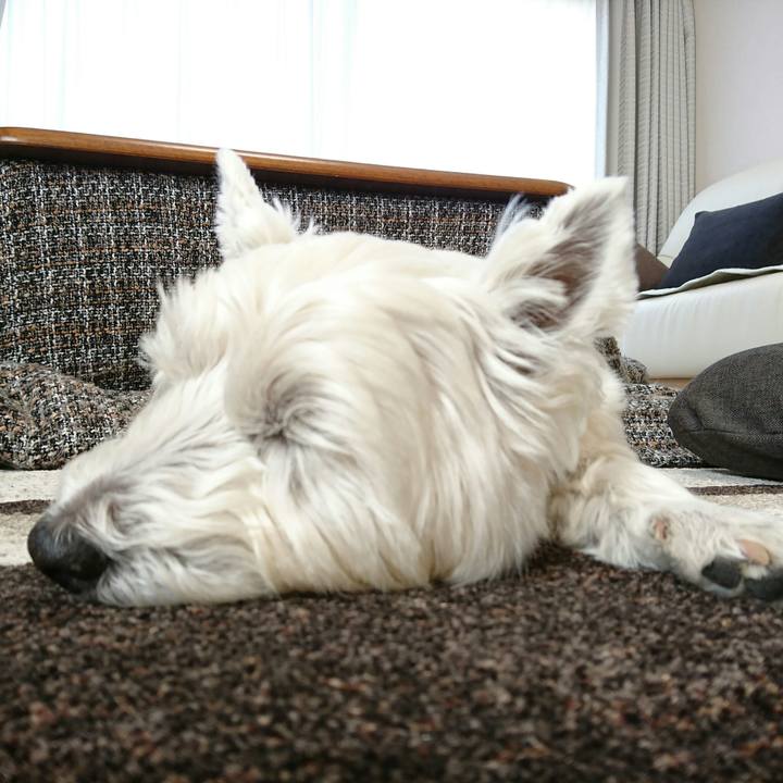 7090b2b3 8e63 43ff 9818 08b05dad4024