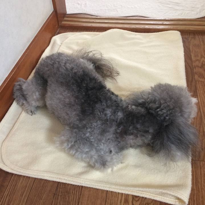 70913027 255d 455a 90ad 98506bfb35c0