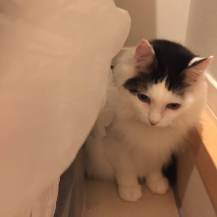 70918807 c19f 48ea 9820 5295cbd50998