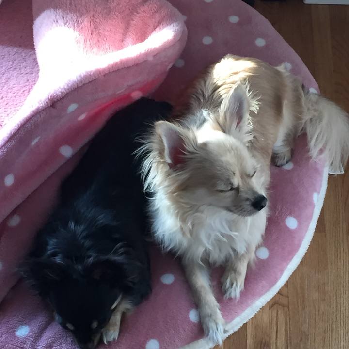 7091b44c d4d1 48bd 9843 2b29a735135a