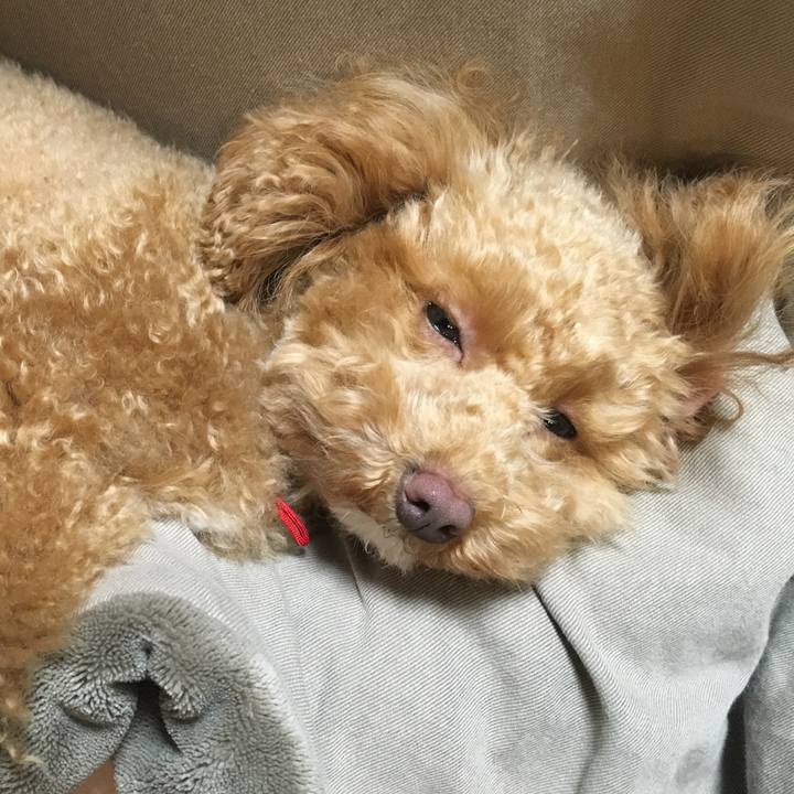 70923ebe aa2a 4ca9 9756 e319f988cefb