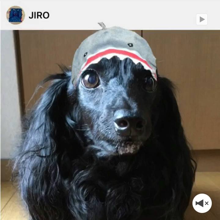 709278d4 7185 4fb6 8af1 d73b6adfe7ab