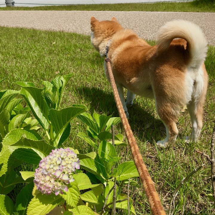 70929f8f ac36 49ac 9868 63e6764af2fa