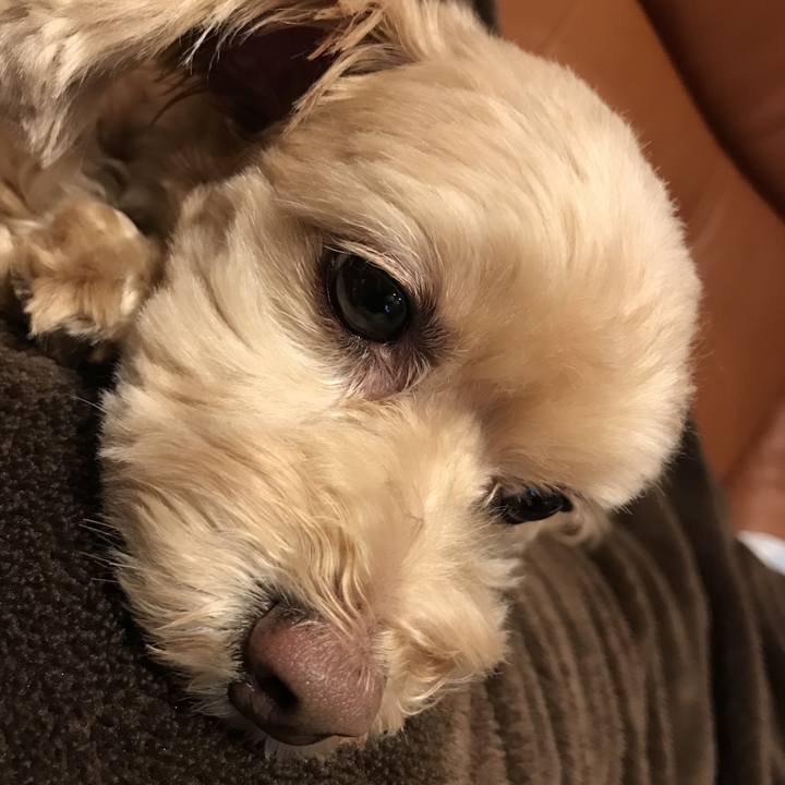 7092fbca 9a83 4e0c b165 8563509ae3bd