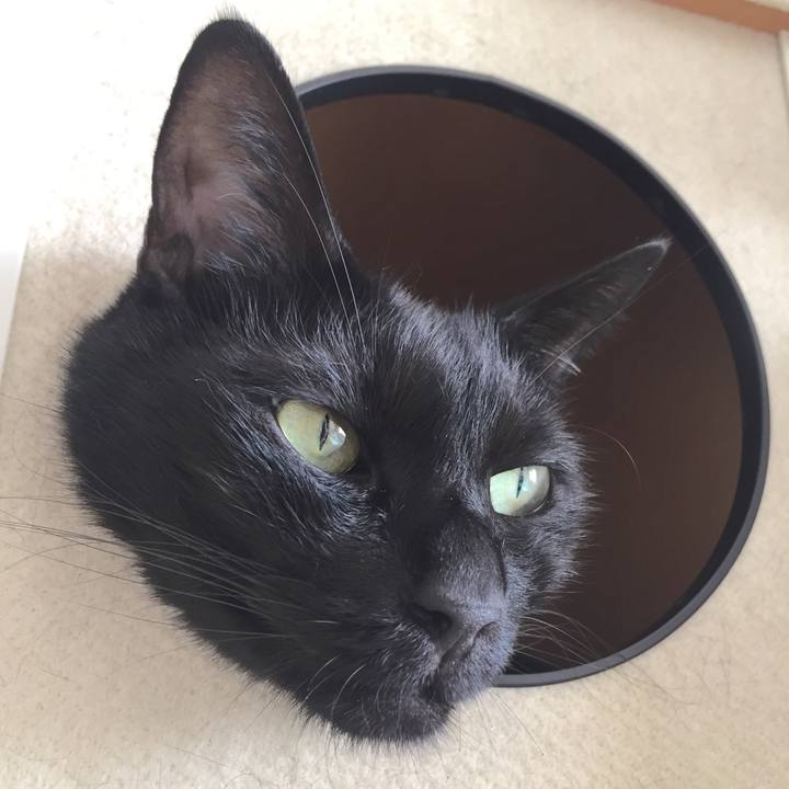 70936671 26ce 4d46 954e 98d0104ee3c8