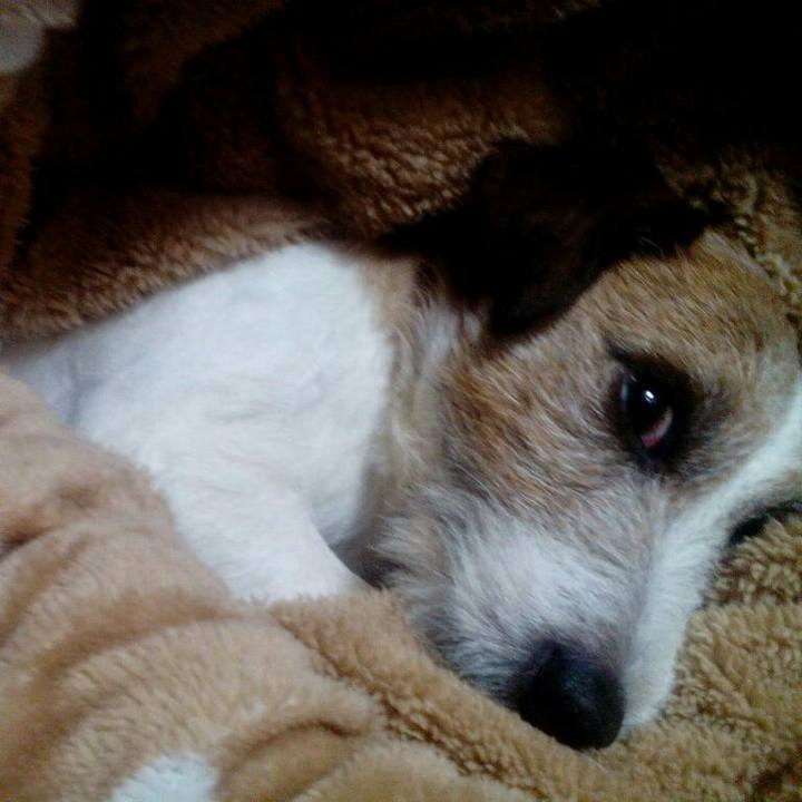 70937201 3093 4cbd 8da2 46038e373bce