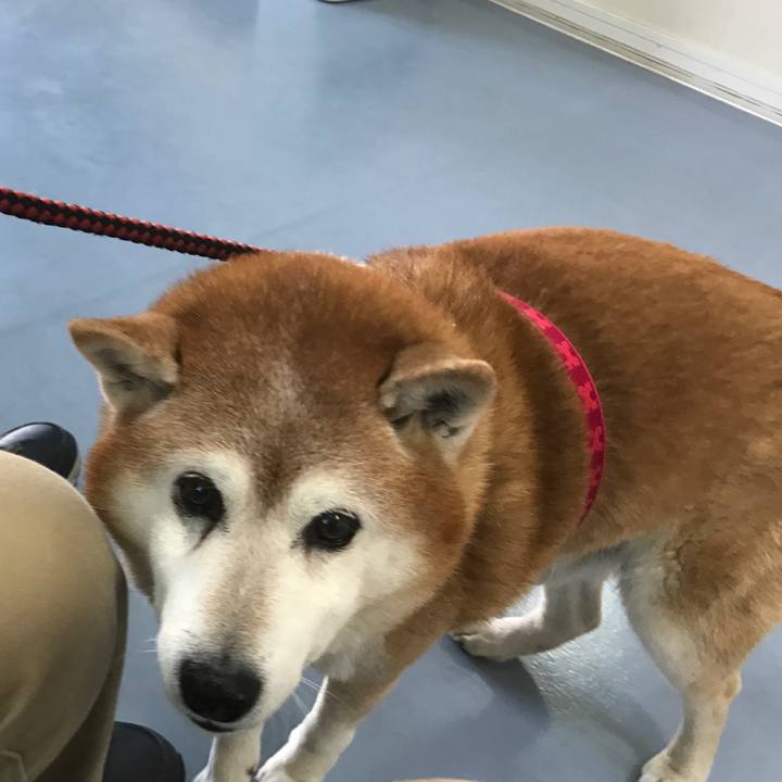 7093e355 cdb0 49cb 8c0f 6b65e15a1ac1