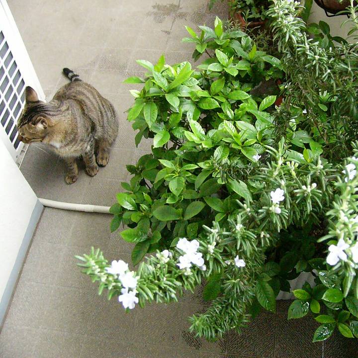 709472ea 7db2 4d6f 8111 5d643868a0bd