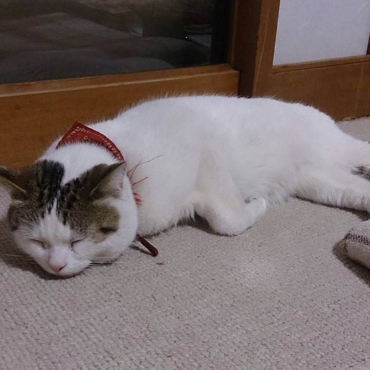 7094787d 3814 4224 9679 a47a09b06cd9