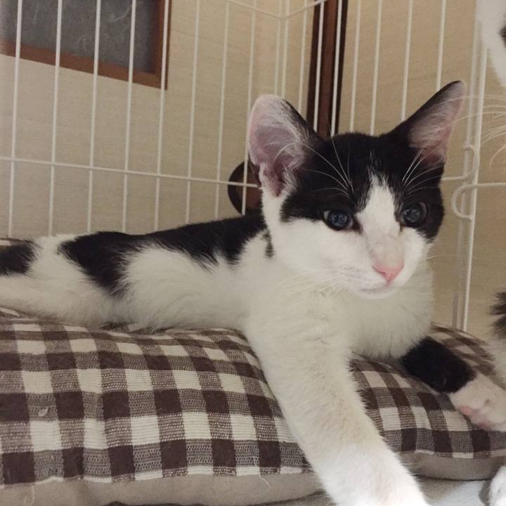 7094de21 c1d3 4e26 a279 e149b8794592