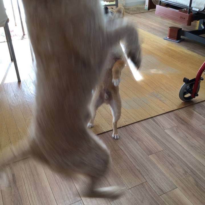 709515f6 d649 45d9 b7bb d26e9e1b8a3f