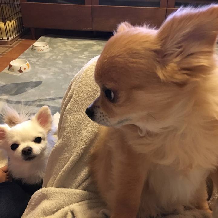 709561da bb2b 4930 aaac b56b9bf131eb