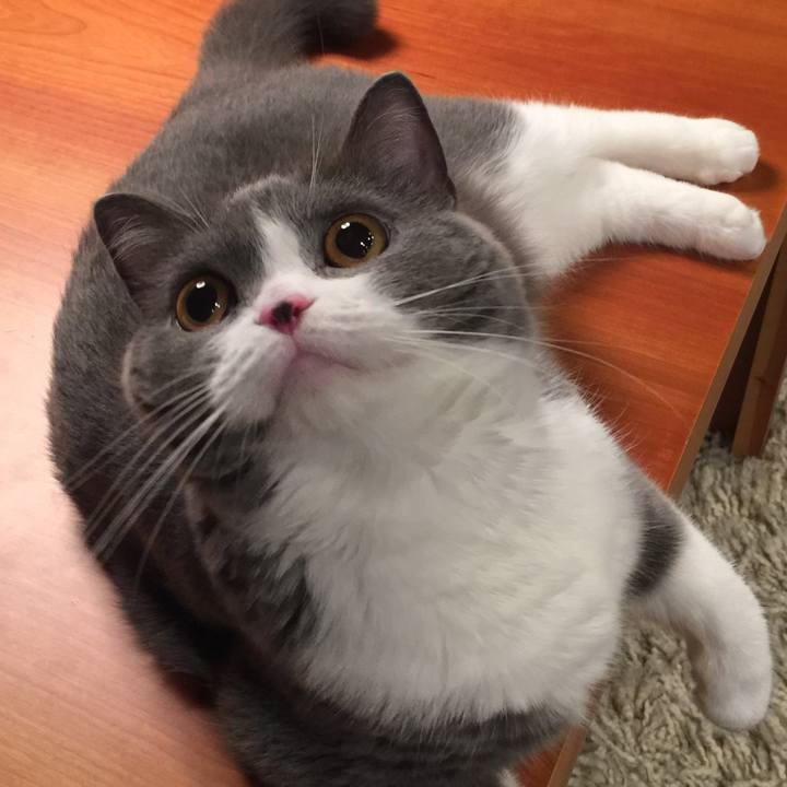 7095c521 8c13 4e08 a9ab 011466b13ced