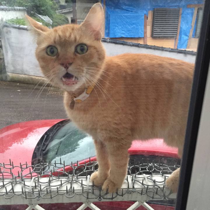 709603f9 0776 4e54 bfc1 1f30cd7012dd