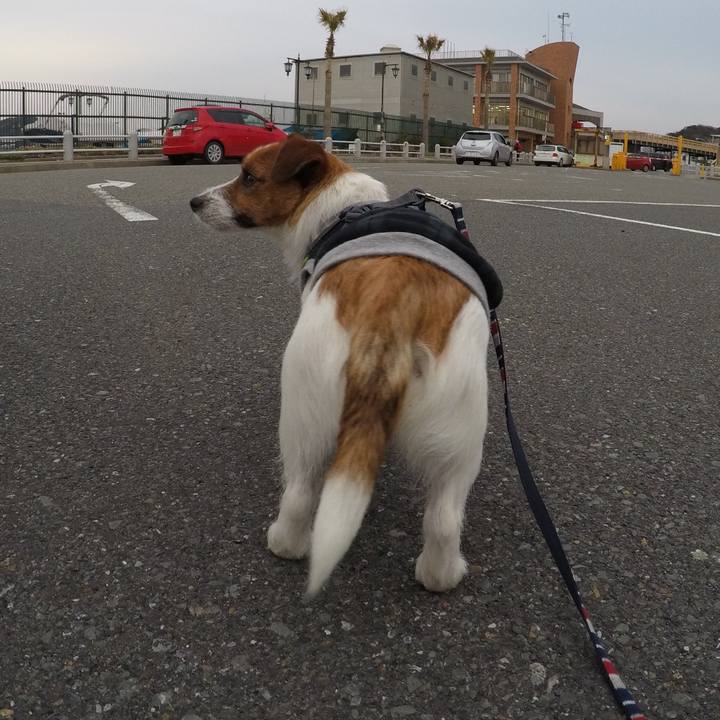 70966c3e dadb 4089 ba34 47dc878245a1