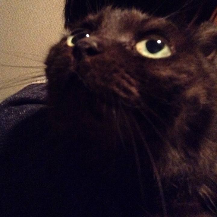 7097d36b c988 4b71 b4c6 dbb809b262b1