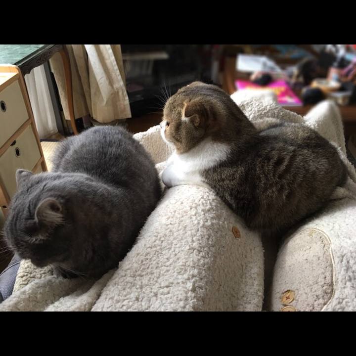 7097d4e6 5a03 495e 8cd2 dccd05dfb41a