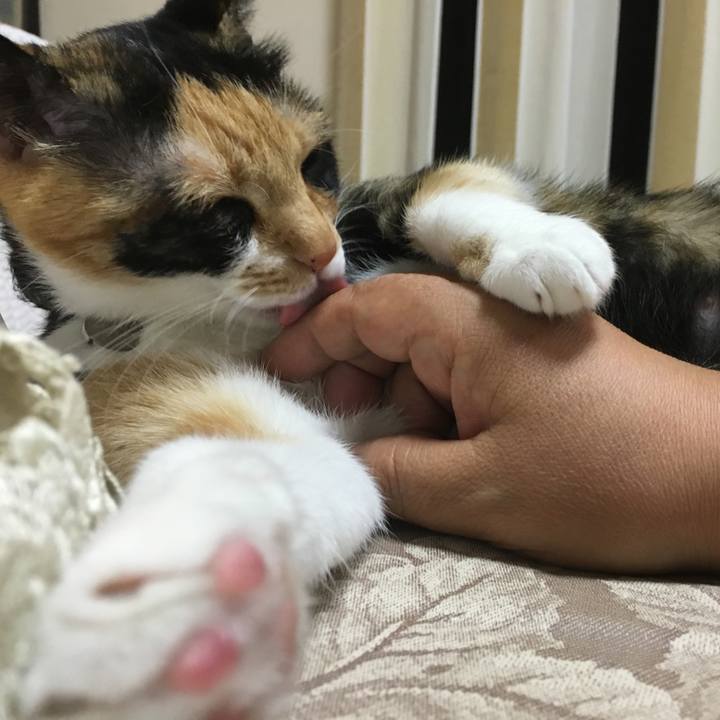 70986d3e 8db7 48d0 bb9b 7956aaa1b57f