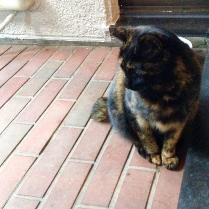 70987e03 a0e4 4074 bee4 65d66210e75c