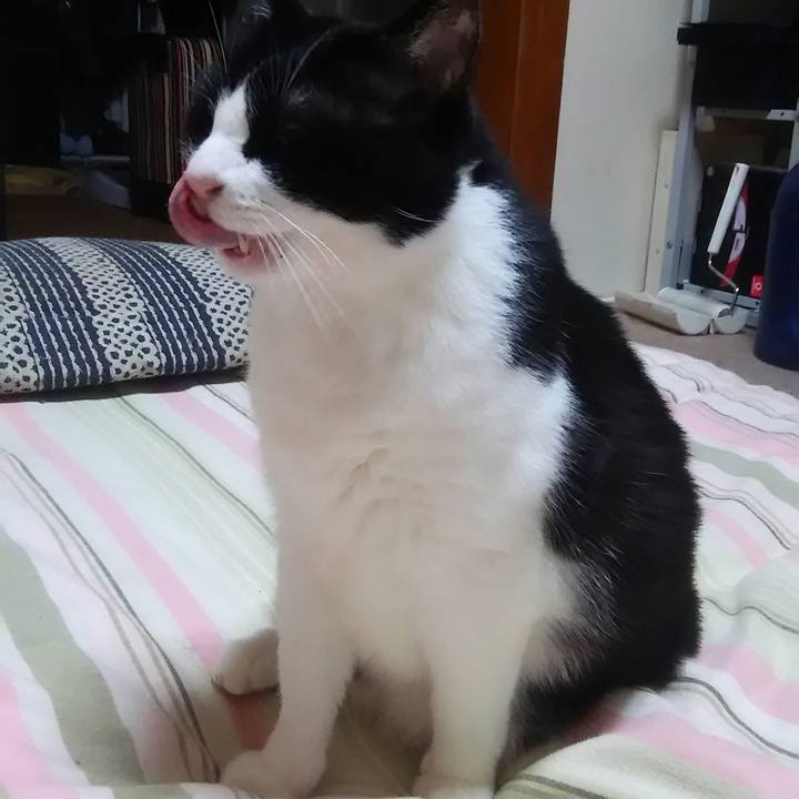 7098caec 4c62 4a3a 97ad c19016612ec3