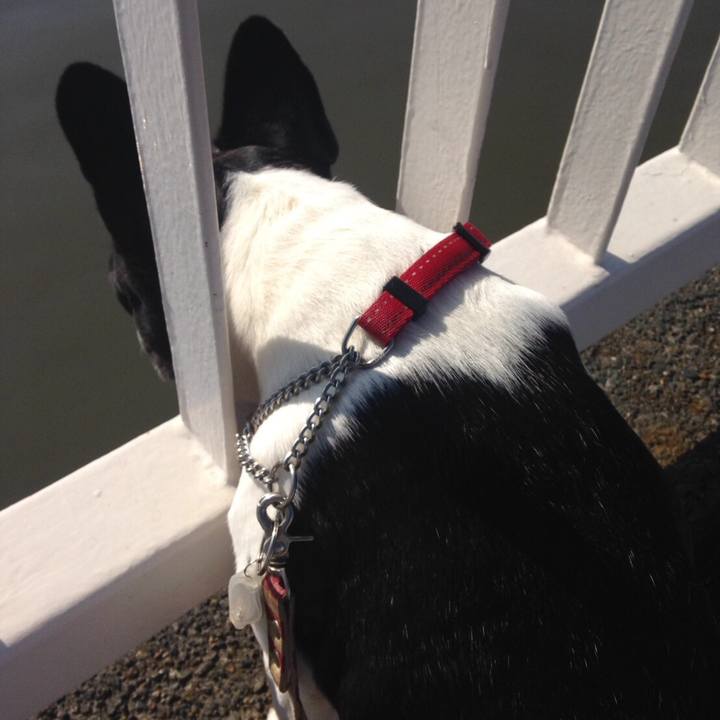 70990620 3b93 4887 9c72 541ada522aa5