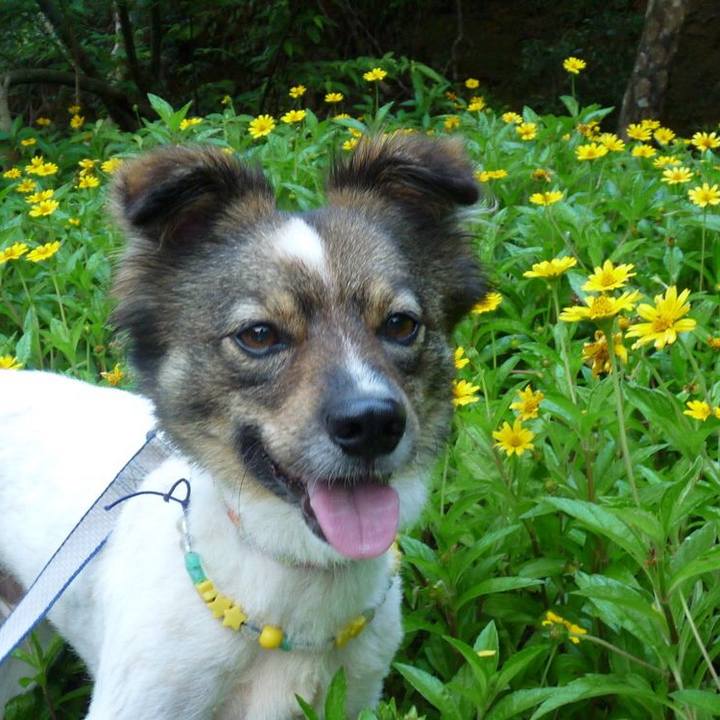 709933f6 e3ff 4199 94bb 5963d3525072