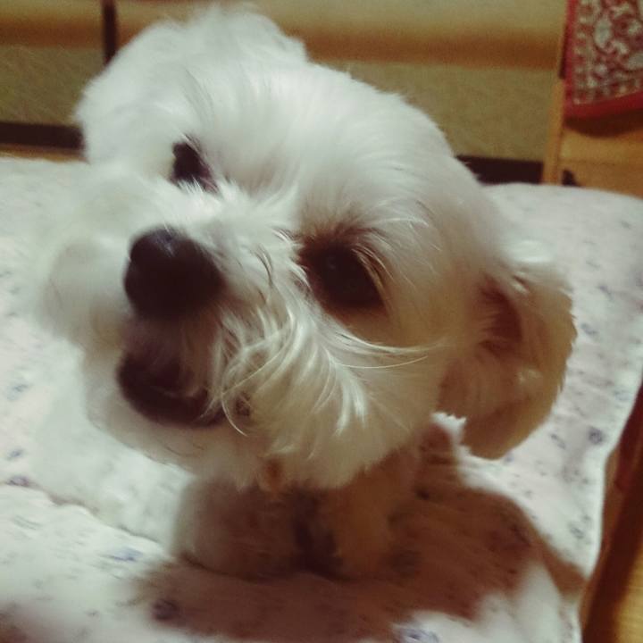 70994ace ca76 4301 a440 ed07d5ac9b95