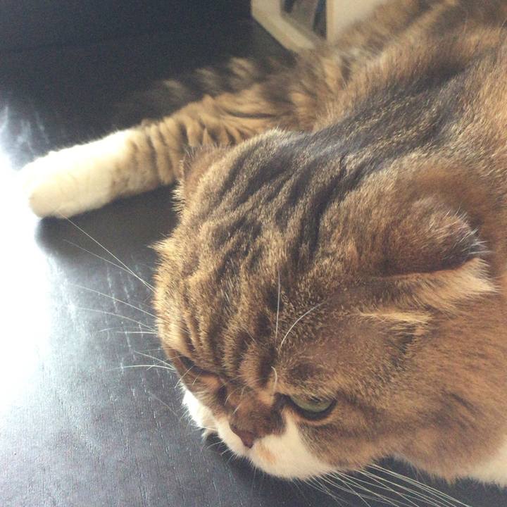 7099b6a3 9423 4153 8b41 96c290ba711b