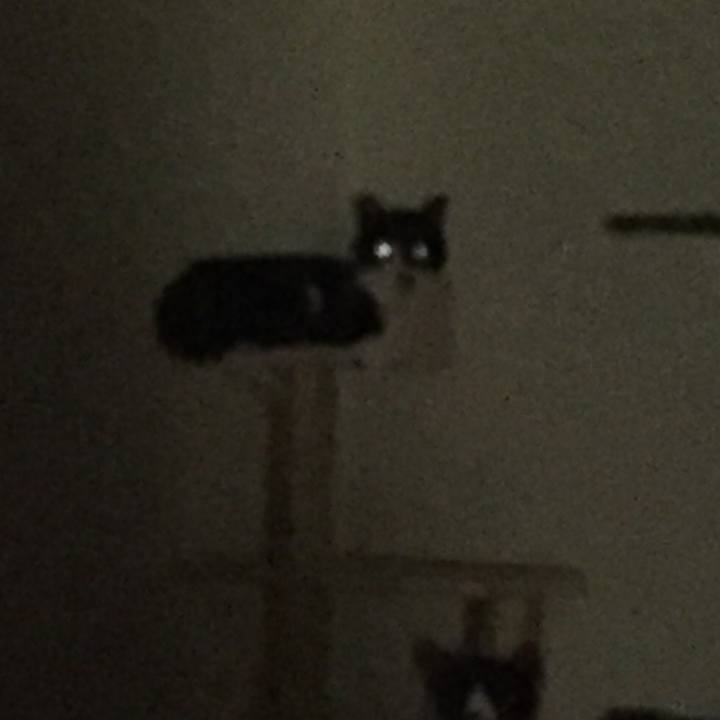 709a2928 43cf 4bed 8c7c 95f6e28eaaf6