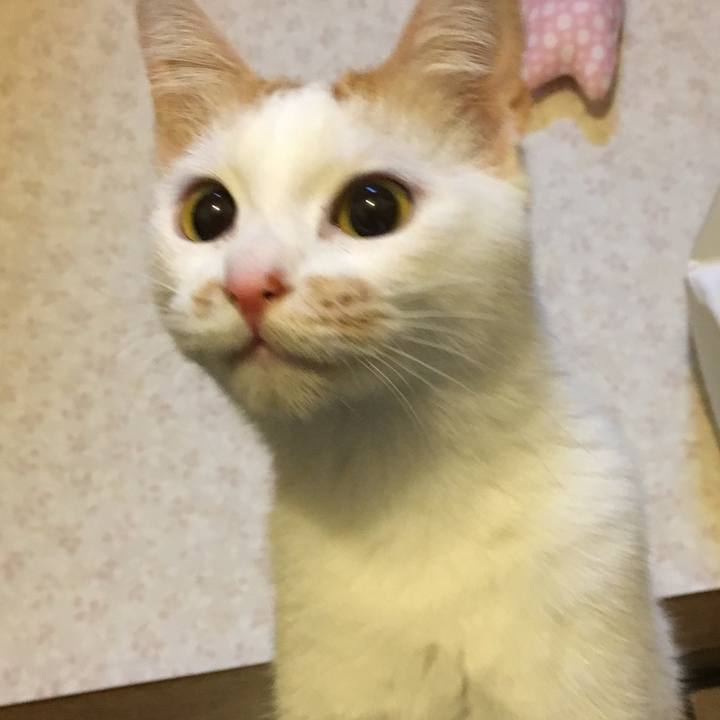 709a3a10 dcaa 4035 a7ab 88bde27f1a02