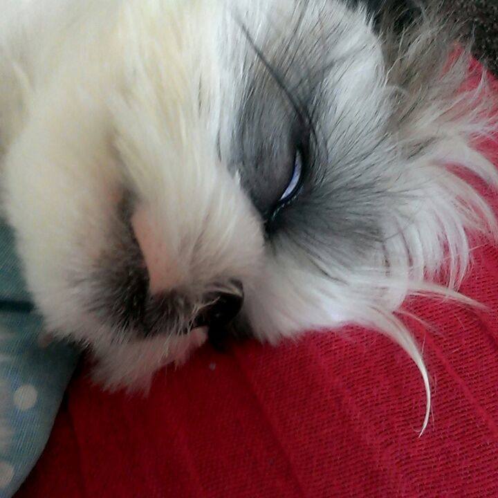 709b3aa7 117d 4de6 8a73 093dec0110a8