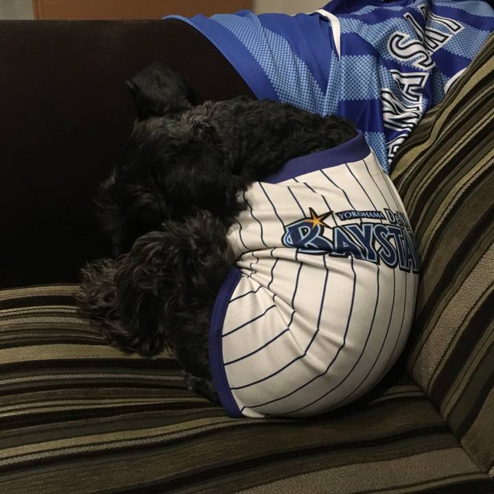 709c28e7 8dfd 43f1 96a9 b0f9087c785c