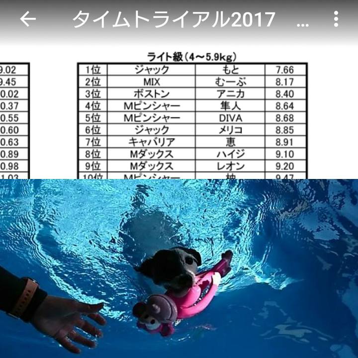 709c2900 294a 474a 8fcb 6ac089a8d5b9