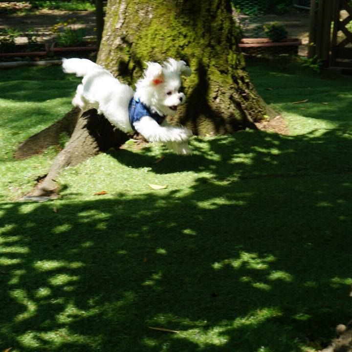 709c4882 7b6c 4c26 a61c 3b2a4fc3e302