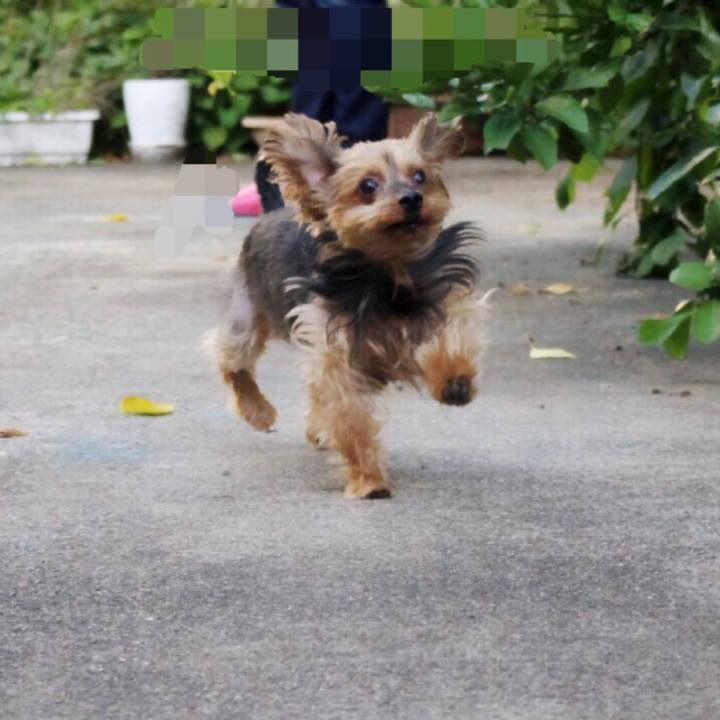 709c6a18 3392 4d21 93e9 32756184e2ce