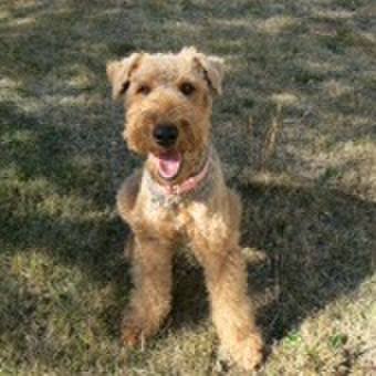 709cafa8 34ed 4f0c b203 4f1f4333025a