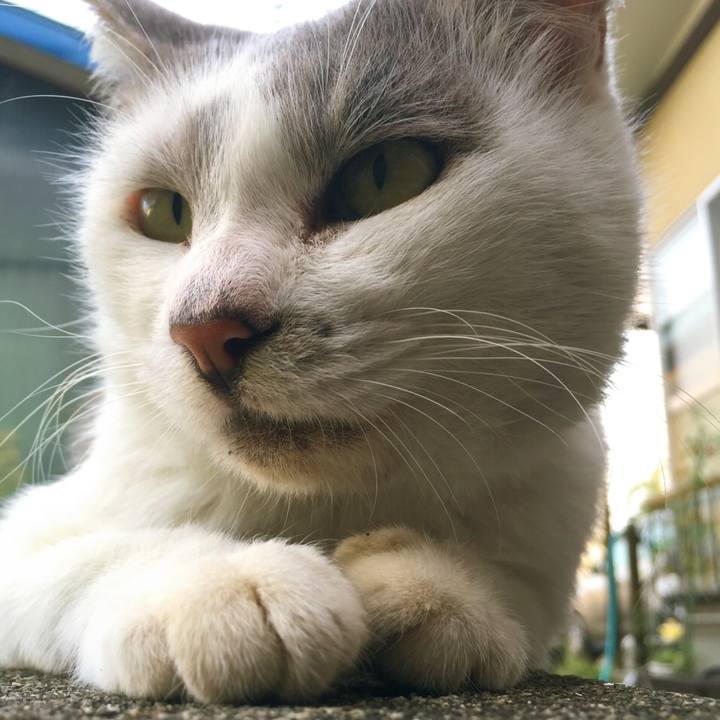 709d4d7a b490 49a5 90d9 46496ad6d000