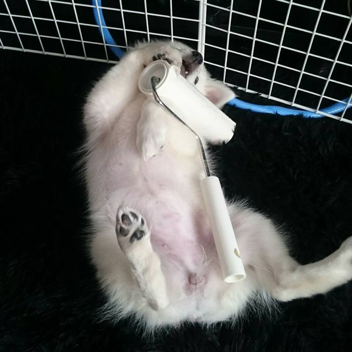 709d8435 784b 410f 83d7 9b123bae3bcc