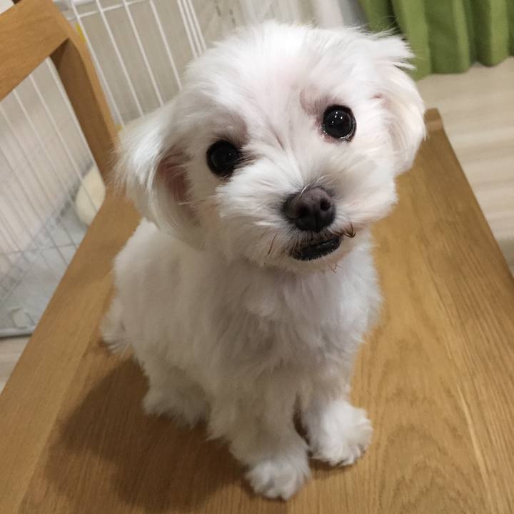 709de769 e154 43dc b952 cbc06e31c4bd