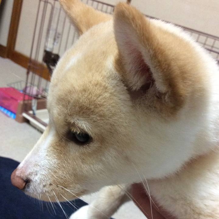 709ded72 a9fc 4f32 bcc2 d31051a7c2f4