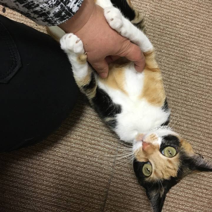 709e4e54 10e4 46a2 81be 510bce502c6d