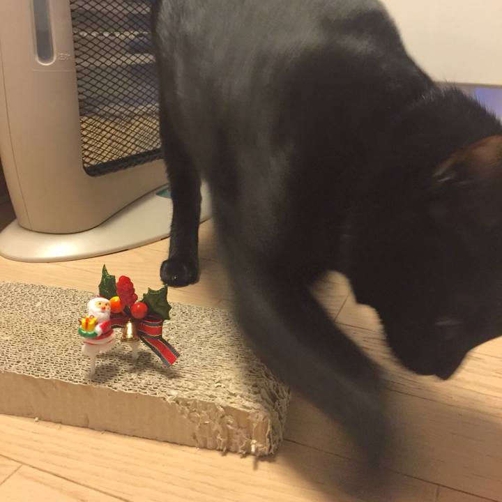 709f0351 f68b 4338 9a97 a55ed3f7acd4