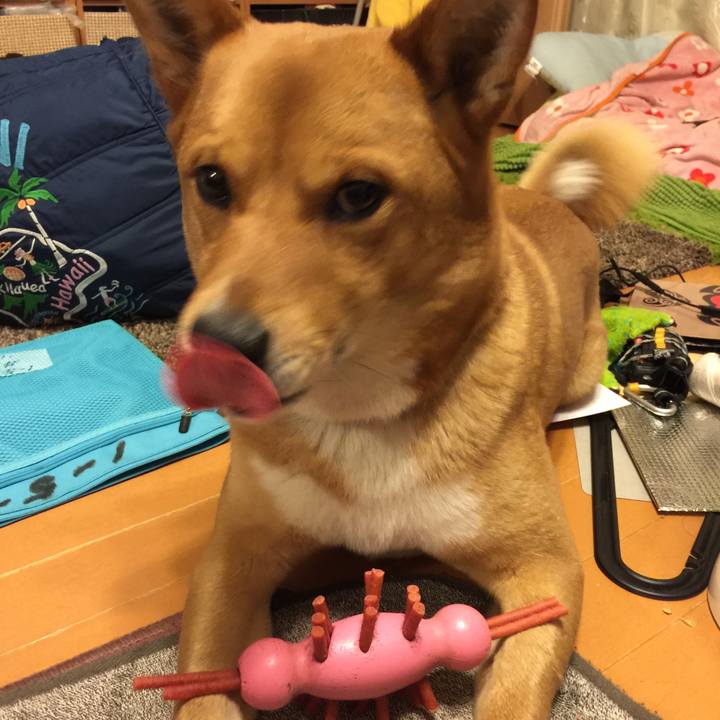 709f7acc be48 4e39 9cf2 6d0450d5c68b