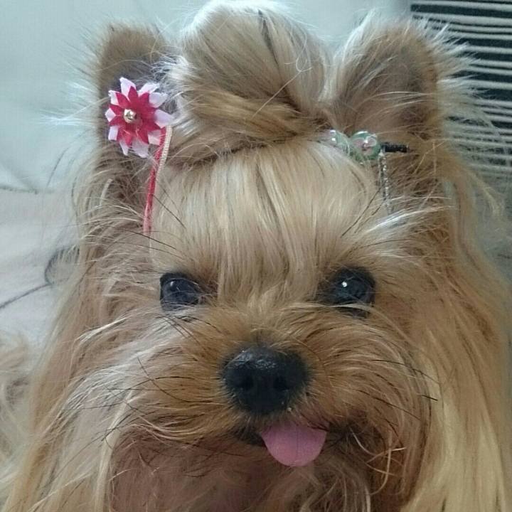 709ff158 7613 43f3 83b7 42a71c6fe1fd