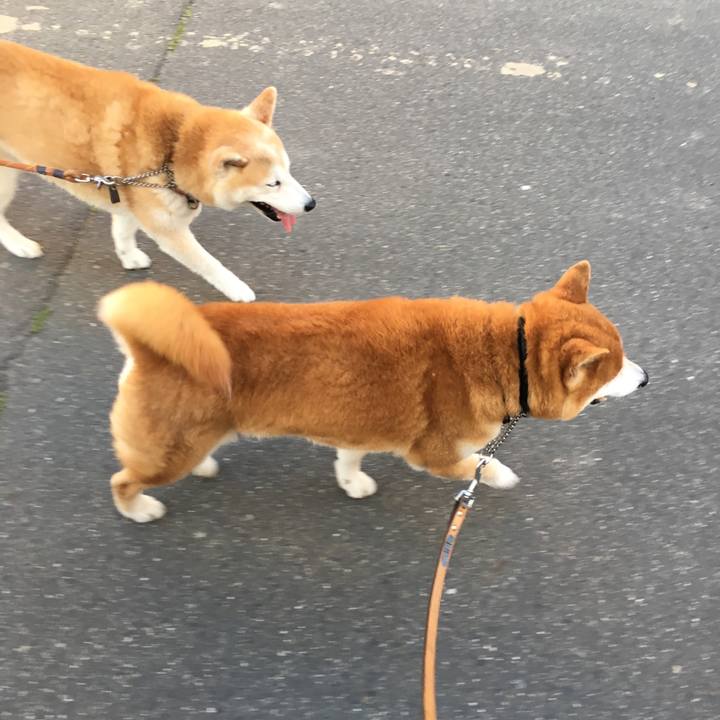 709fff57 fd57 4e5e 920a 0d5cd9d371eb