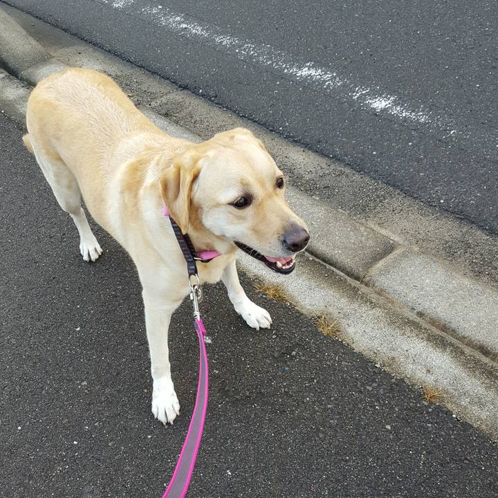 70a02386 203a 4622 ad25 8e004a345447